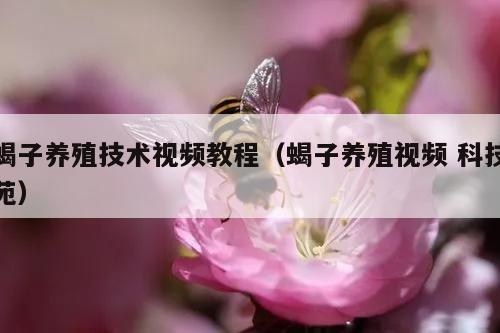 蝎子养殖技术视频教程（蝎子养殖视频 科技苑）