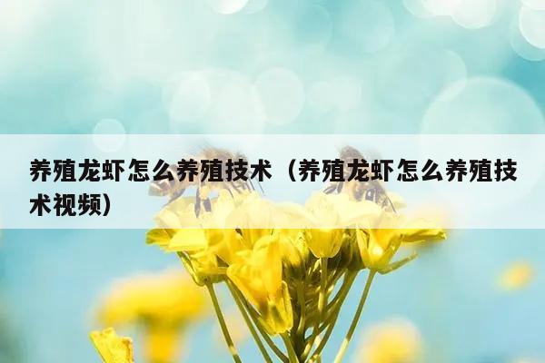 养殖龙虾怎么养殖技术（养殖龙虾怎么养殖技术视频）