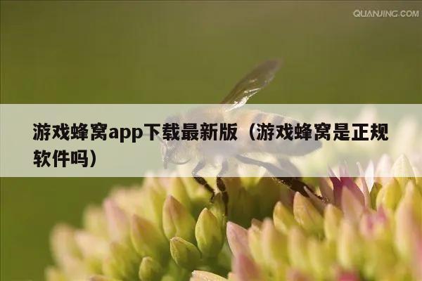 游戏蜂窝app下载最新版（游戏蜂窝是正规软件吗）