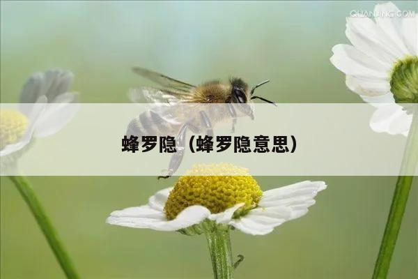 蜂罗隐（蜂罗隐意思）