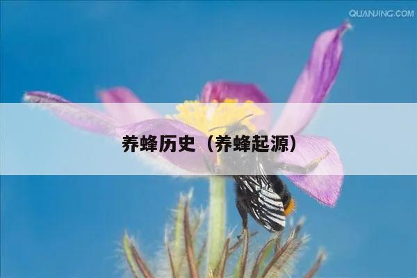 养蜂历史（养蜂起源）