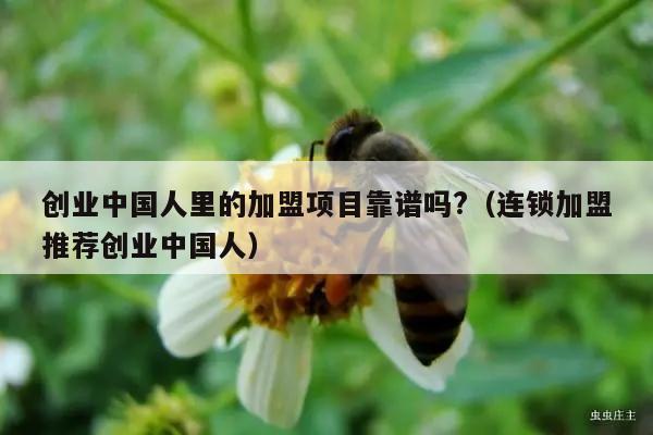 创业中国人里的加盟项目靠谱吗?（连锁加盟推荐创业中国人）