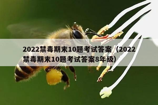 2022禁毒期末10题考试答案（2022禁毒期末10题考试答案8年级）