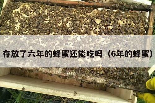 存放了六年的蜂蜜还能吃吗（6年的蜂蜜）