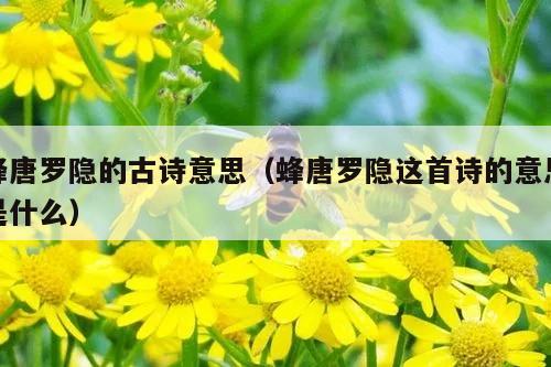 蜂唐罗隐的古诗意思（蜂唐罗隐这首诗的意思是什么）