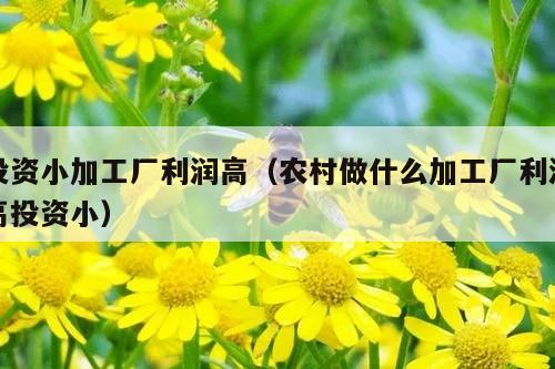 投资小加工厂利润高（农村做什么加工厂利润高投资小）