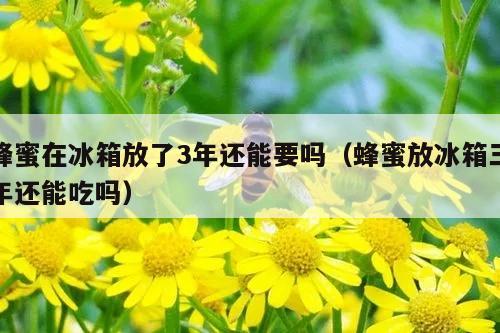 蜂蜜在冰箱放了3年还能要吗（蜂蜜放冰箱三年还能吃吗）