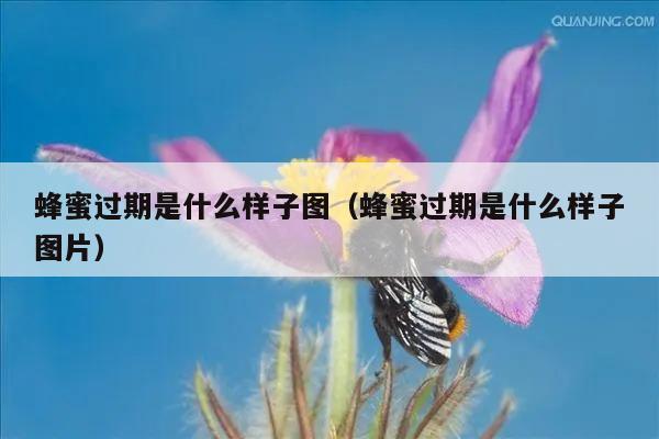 蜂蜜过期是什么样子图（蜂蜜过期是什么样子图片）