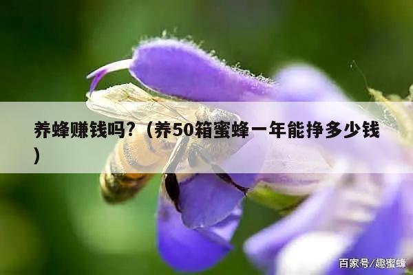 养蜂赚钱吗?（养50箱蜜蜂一年能挣多少钱）