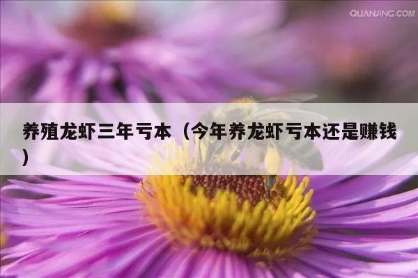 养殖龙虾三年亏本（今年养龙虾亏本还是赚钱）