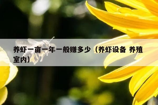 养虾一亩一年一般赚多少（养虾设备 养殖 室内）