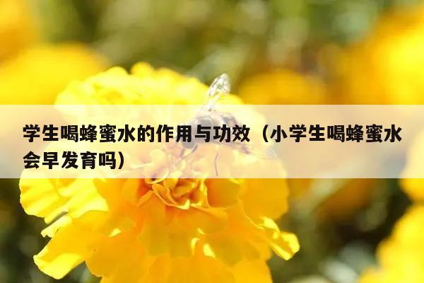 学生喝蜂蜜水的作用与功效（小学生喝蜂蜜水会早发育吗）