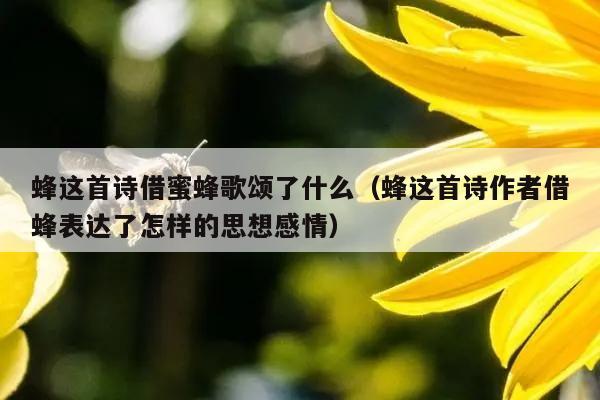 蜂这首诗借蜜蜂歌颂了什么（蜂这首诗作者借蜂表达了怎样的思想感情）