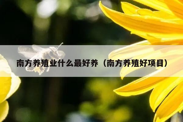 南方养殖业什么最好养（南方养殖好项目）