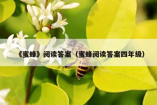 《蜜蜂》阅读答案（蜜蜂阅读答案四年级）