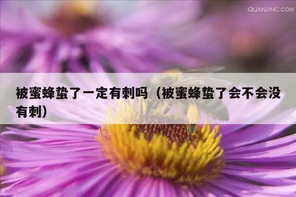 被蜜蜂蛰了一定有刺吗（被蜜蜂蛰了会不会没有刺）