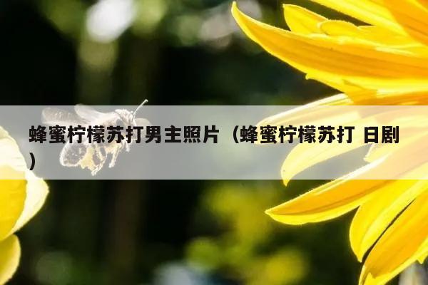 蜂蜜柠檬苏打男主照片（蜂蜜柠檬苏打 日剧）