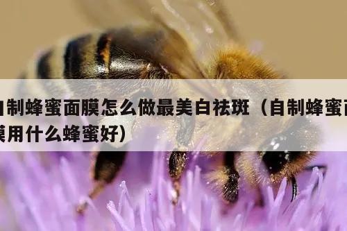 自制蜂蜜面膜怎么做最美白祛斑（自制蜂蜜面膜用什么蜂蜜好）