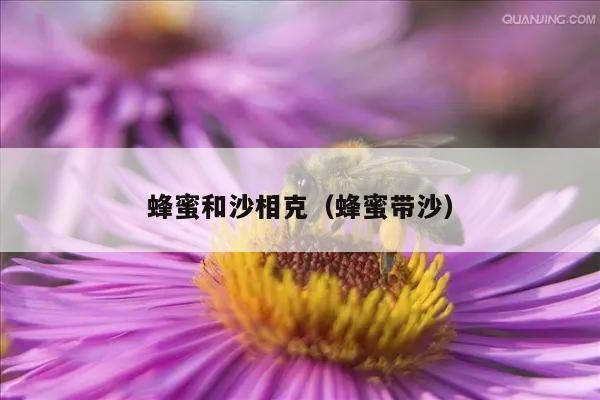 蜂蜜和沙相克（蜂蜜带沙）