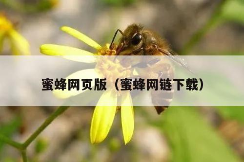 蜜蜂网页版（蜜蜂网链下载）