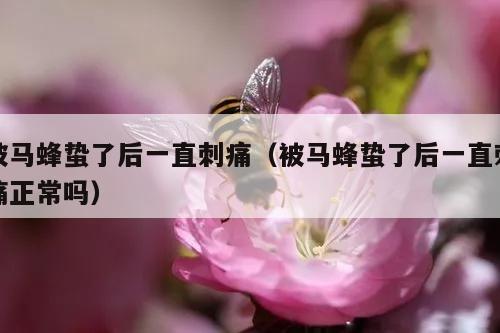 被马蜂蛰了后一直刺痛（被马蜂蛰了后一直刺痛正常吗）