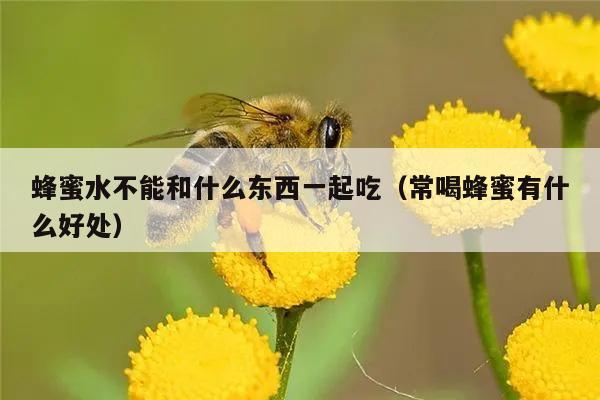 蜂蜜水不能和什么东西一起吃（常喝蜂蜜有什么好处）