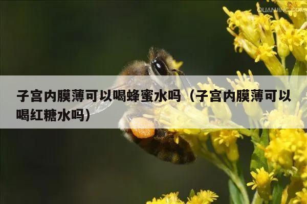 子宫内膜薄可以喝蜂蜜水吗（子宫内膜薄可以喝红糖水吗）