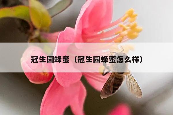 冠生园蜂蜜（冠生园蜂蜜怎么样）