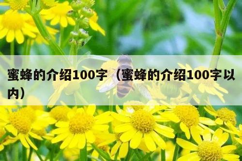 蜜蜂的介绍100字（蜜蜂的介绍100字以内）