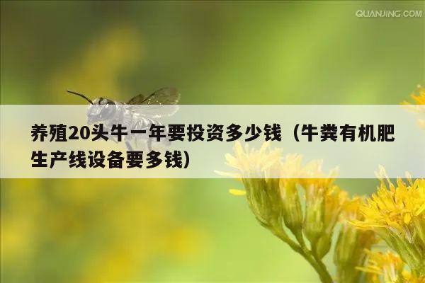 养殖20头牛一年要投资多少钱（牛粪有机肥生产线设备要多钱）