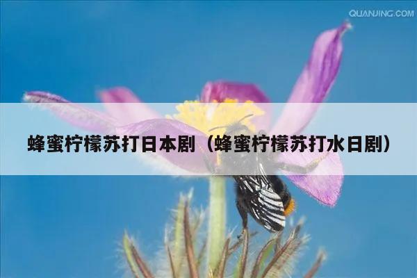 蜂蜜柠檬苏打日本剧（蜂蜜柠檬苏打水日剧）