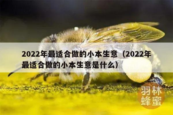 2022年最适合做的小本生意（2022年最适合做的小本生意是什么）