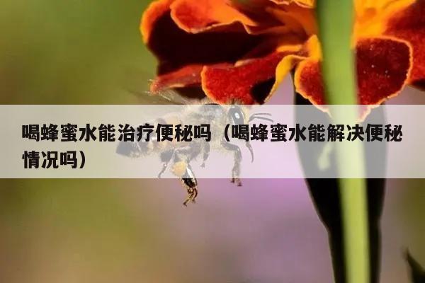 喝蜂蜜水能治疗便秘吗（喝蜂蜜水能解决便秘情况吗）