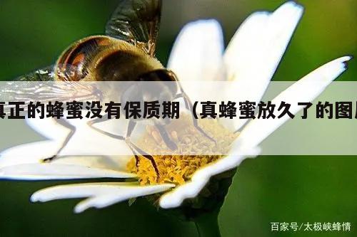 真正的蜂蜜没有保质期（真蜂蜜放久了的图片）