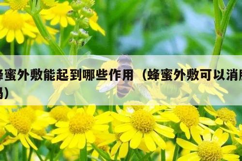 蜂蜜外敷能起到哪些作用（蜂蜜外敷可以消肿吗）