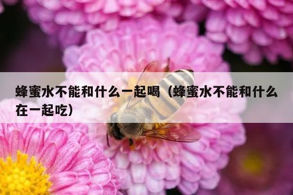 蜂蜜水不能和什么一起喝（蜂蜜水不能和什么在一起吃）