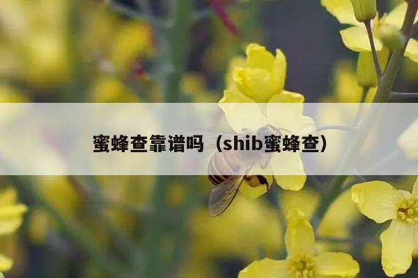 蜜蜂查靠谱吗（shib蜜蜂查）