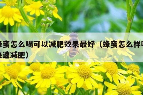 蜂蜜怎么喝可以减肥效果最好（蜂蜜怎么样喝快速减肥）