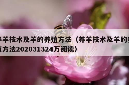 养羊技术及羊的养殖方法（养羊技术及羊的养殖方法202031324万阅读）