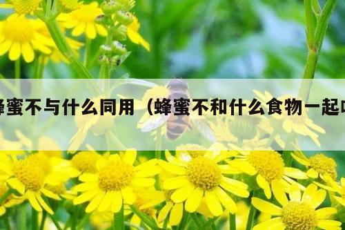 蜂蜜不与什么同用（蜂蜜不和什么食物一起吃）