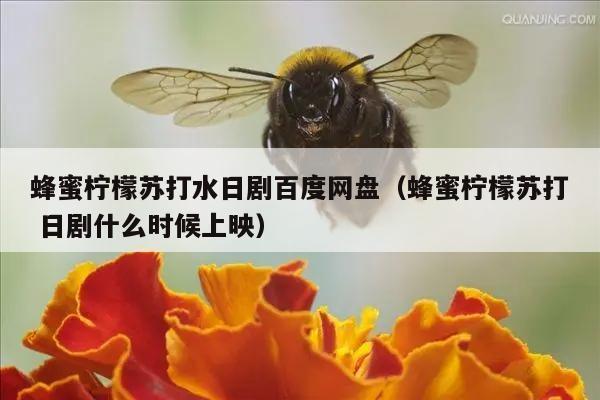 蜂蜜柠檬苏打水日剧百度网盘（蜂蜜柠檬苏打 日剧什么时候上映）