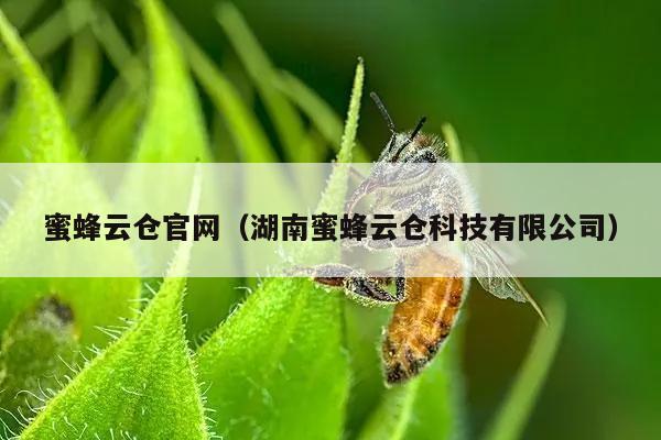 蜜蜂云仓官网（湖南蜜蜂云仓科技有限公司）