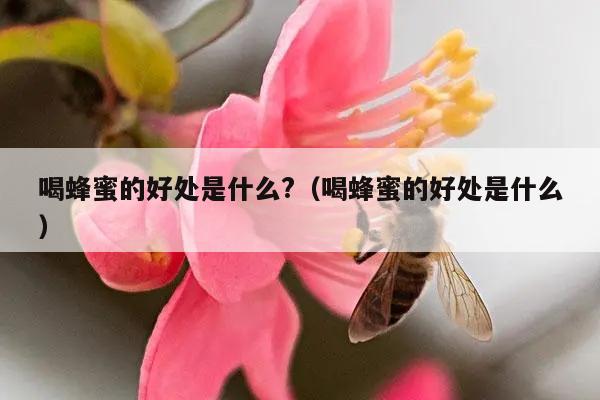 喝蜂蜜的好处是什么?（喝蜂蜜的好处是什么）