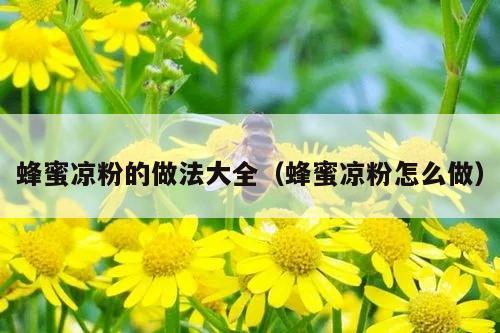 蜂蜜凉粉的做法大全（蜂蜜凉粉怎么做）