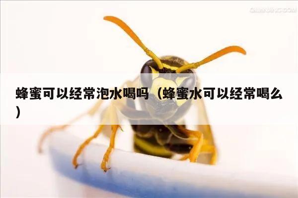 蜂蜜可以经常泡水喝吗（蜂蜜水可以经常喝么）