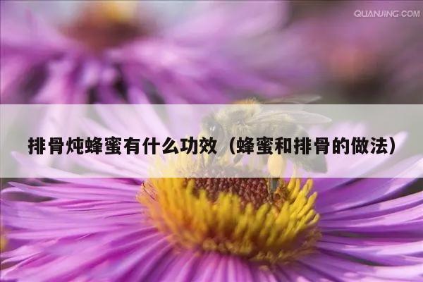 排骨炖蜂蜜有什么功效（蜂蜜和排骨的做法）