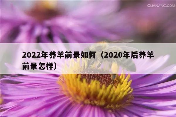 2022年养羊前景如何（2020年后养羊前景怎样）