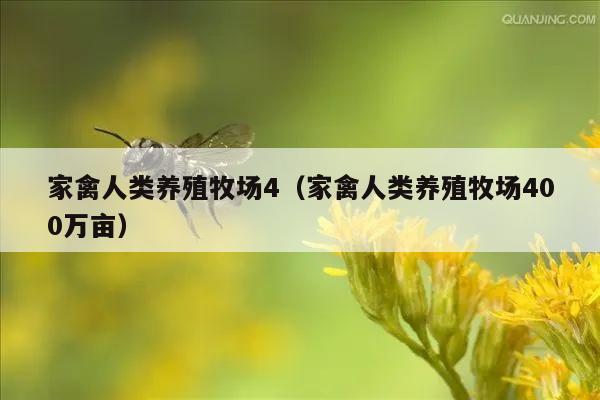 家禽人类养殖牧场4（家禽人类养殖牧场400万亩）