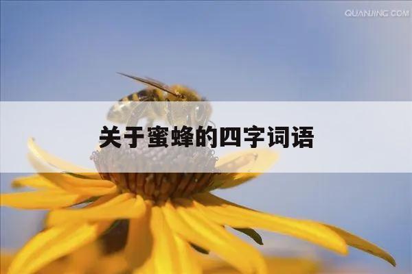 关于蜜蜂的四字词语 关于蜜蜂的四字词语大全