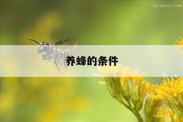 养蜂的条件 家庭养蜂需要什么条件